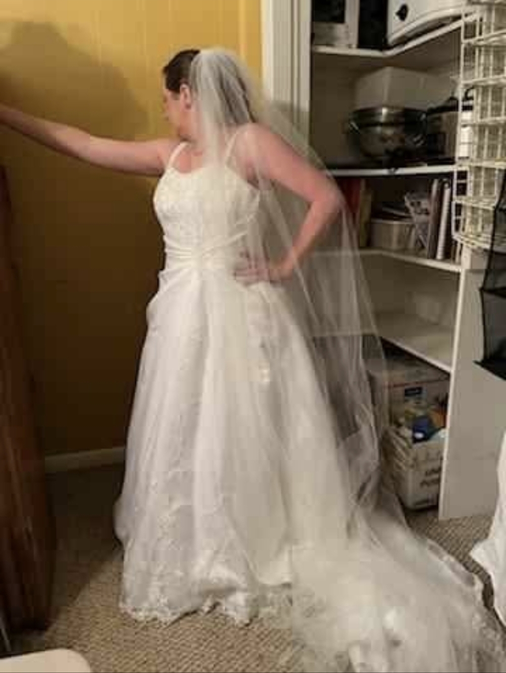 David’s Bridal  Classic A-Line Tulle & Lace Gown, Size 10,  2 veils  & Petticoat
